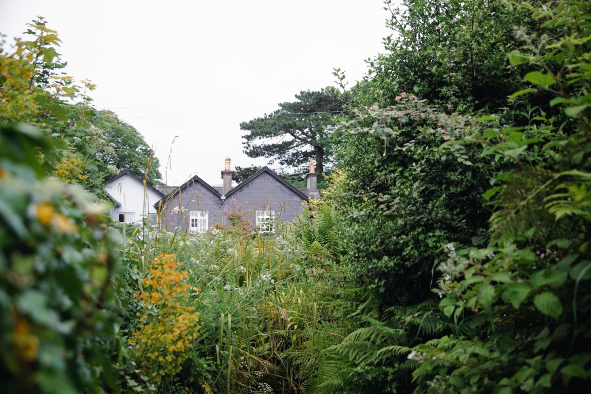 Trigonos - Quiet, Peaceful, Vegetarian B&B And Retreat Centre Nantlle Bagian luar foto