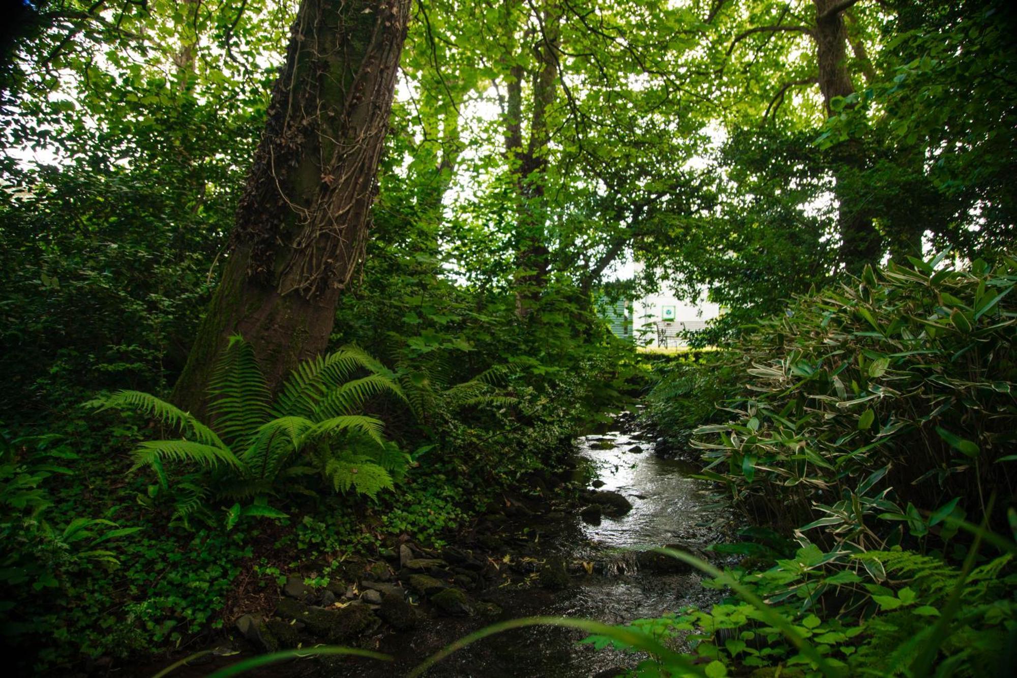 Trigonos - Quiet, Peaceful, Vegetarian B&B And Retreat Centre Nantlle Bagian luar foto